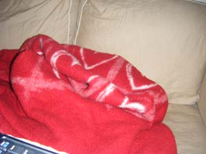 Milou sover under filt i soffan